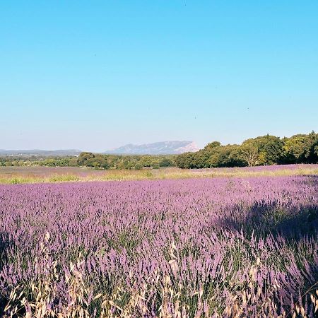 Bed and Breakfast Maison Francoise Aix-en-Provence Exterior foto
