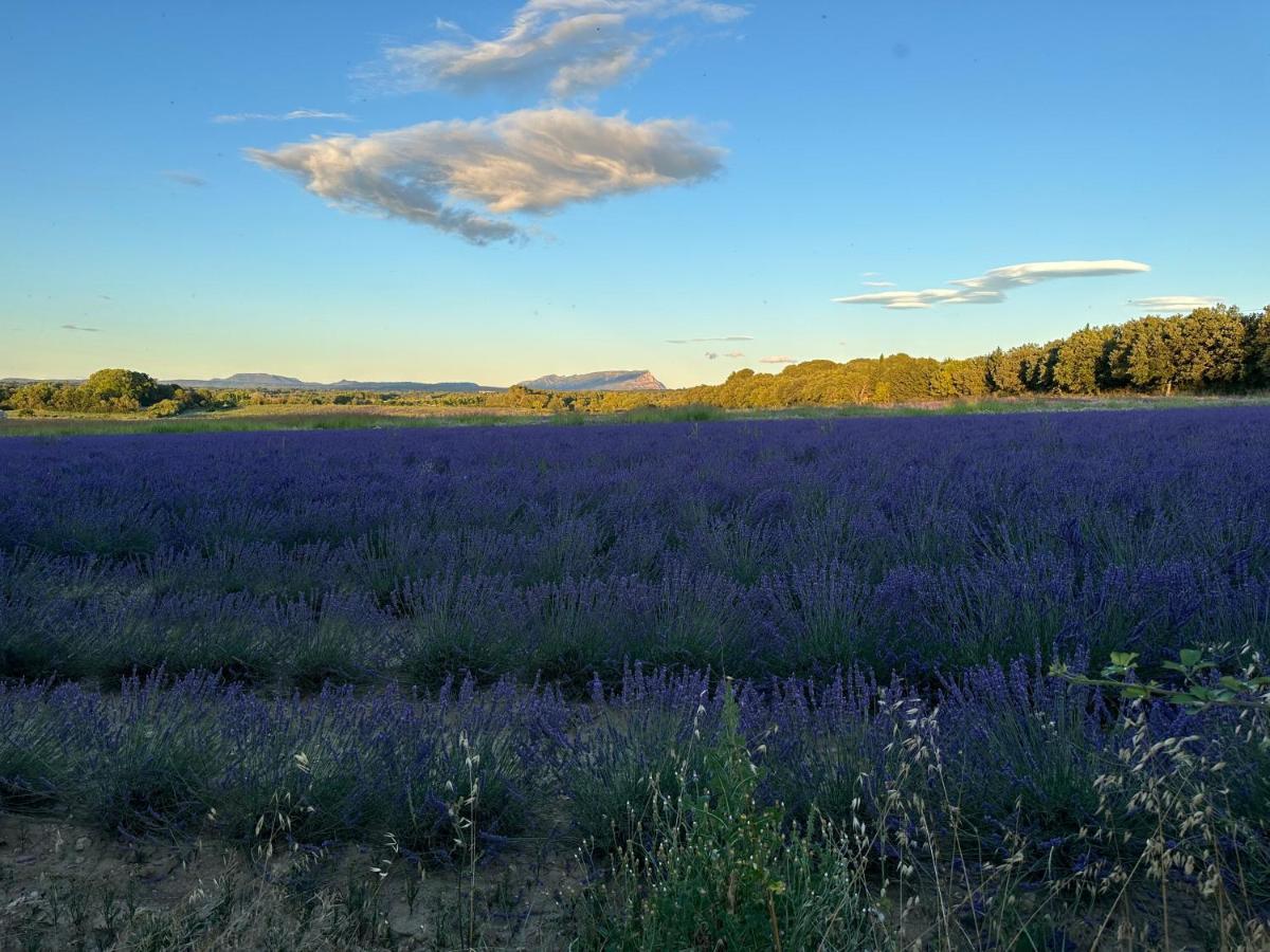 Bed and Breakfast Maison Francoise Aix-en-Provence Exterior foto