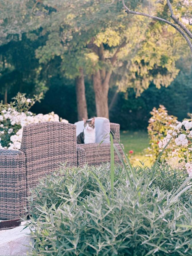 Bed and Breakfast Maison Francoise Aix-en-Provence Exterior foto